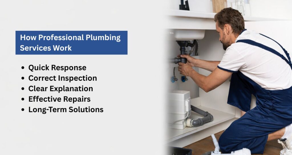 Plumber Service Ambarvale